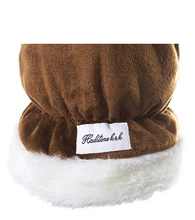 Windshield Ice Scraper Hand Mitt